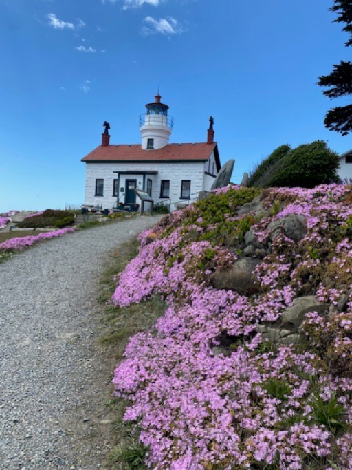 Beautiful flowers lining a path leading to a lighthouse.
